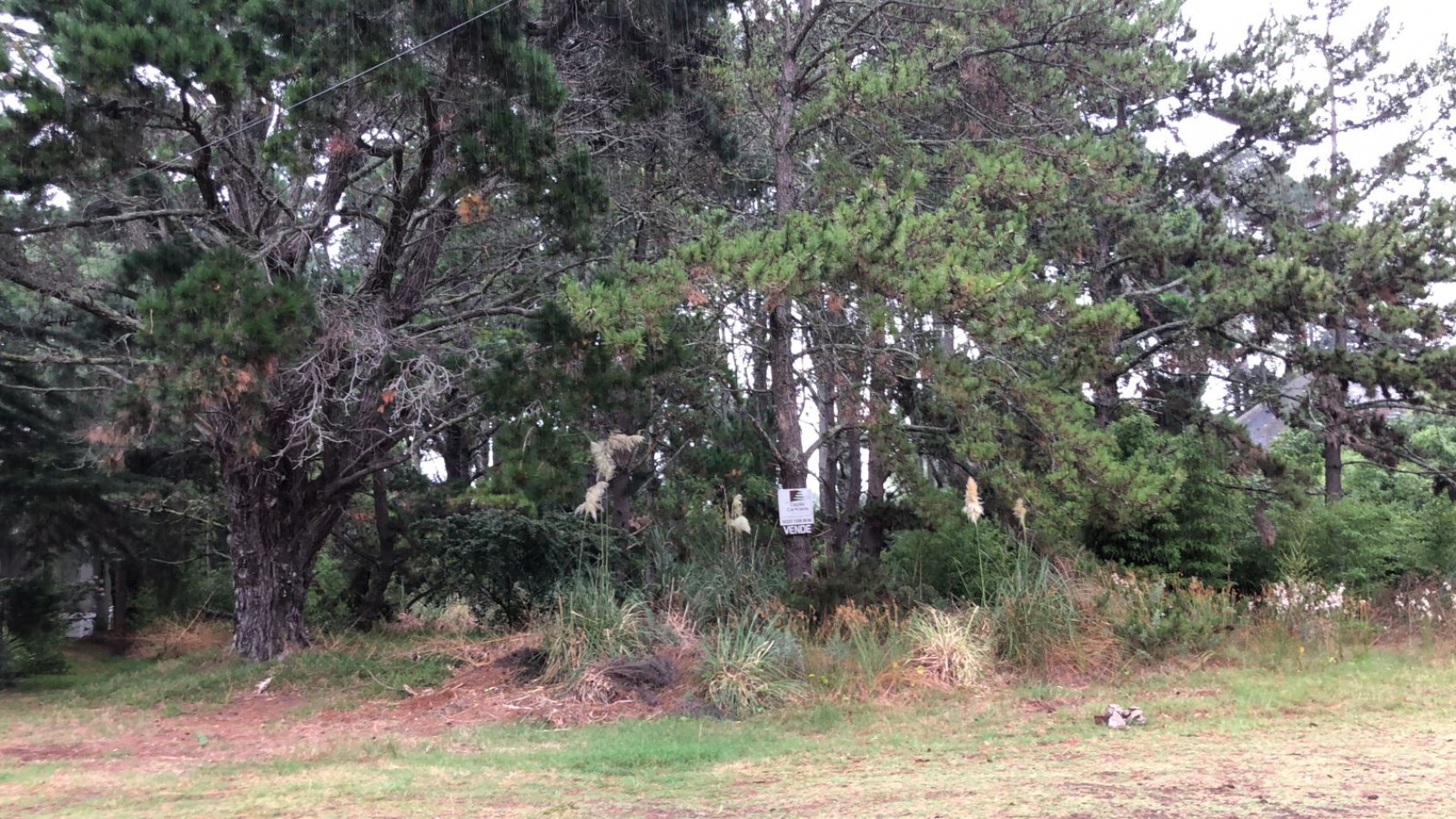 VENTA LOTE TERRENO COSTA DEL ESTE