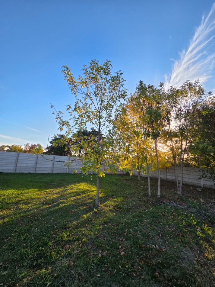 VENTA LOTE EN BARRIO CERRADO DEL VISO CHICO JOSE C PAZ