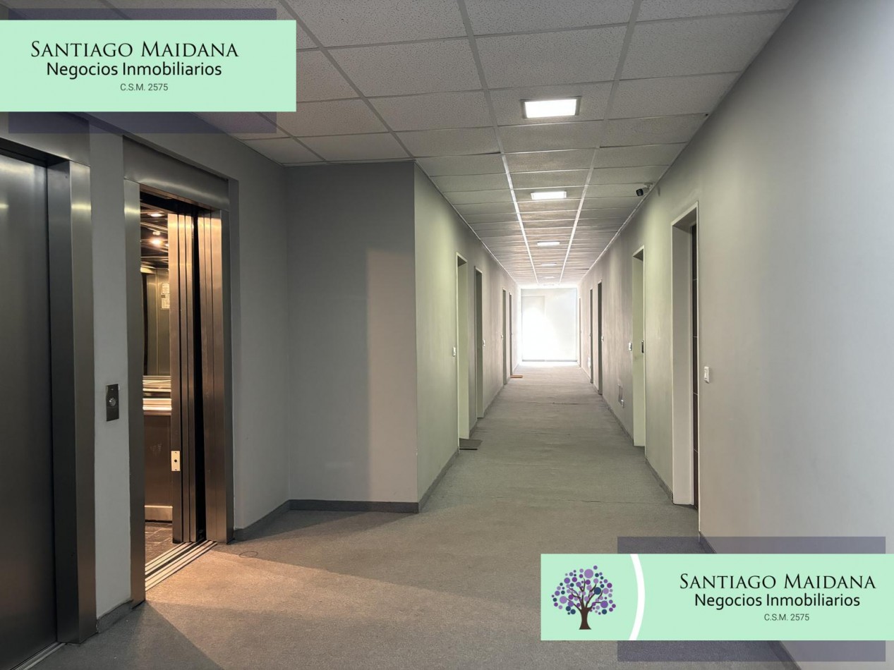 ALQUILER OFICINA COMERCIAL PILAR AGORA II 