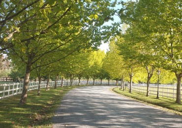 VENTA LOTE HARAS DEL SOL PILAR 